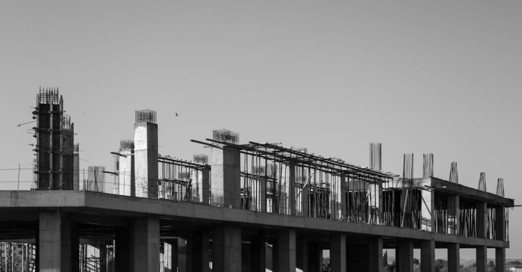 Free stock photo of bird, bird flying, black and white